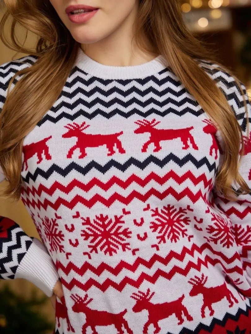 (50%OFF) Nordic Reindeer Sweater